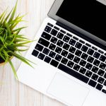 Best Office Plants to Increase Productivity and Reduce Stress